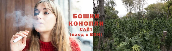 соль ск Нея