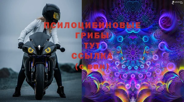 прущие крисы Нефтекумск