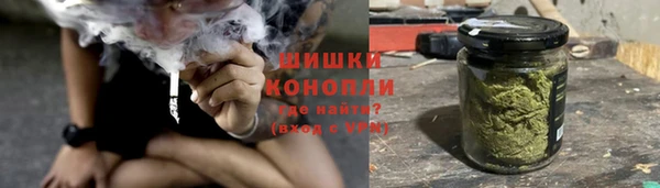 прущие крисы Нефтекумск